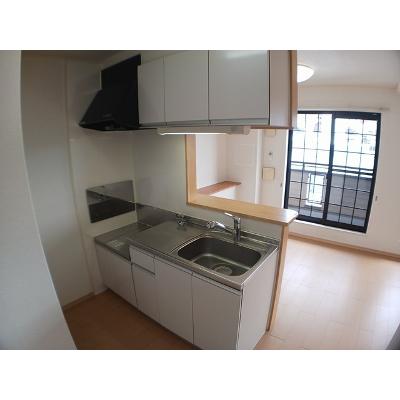 カーサ　プラシードⅠ 205【管理NO：1-015821001-02040】 ★家具家電は申し込み後に搬入します★の物件画像