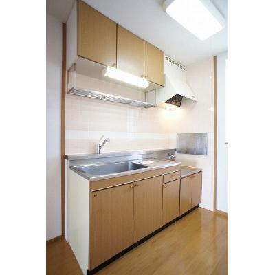 ステディールーツ 203【管理NO：1-007726401-02030】 ★家具家電は申し込み後に搬入します★ ★2026年11月中旬入居可能★の物件画像