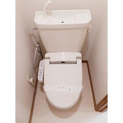 ステディールーツ 203【管理NO：1-007726401-02030】 ★家具家電は申し込み後に搬入します★ ★2026年11月中旬入居可能★の物件画像