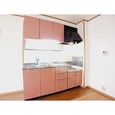 セレーナⅠ 102【管理NO：1-012882501-01020】 ★家具家電は申し込み後に搬入します★の物件画像