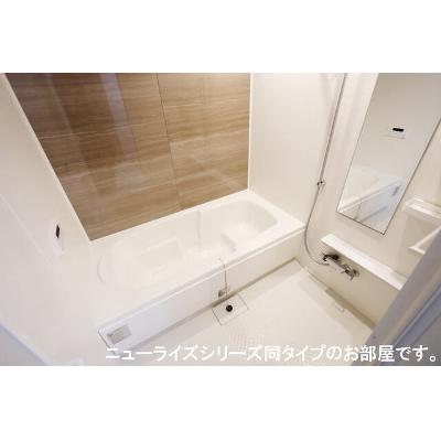 セレニア 201【管理NO：1-028907401-02010】 ★家具家電は申し込み後に搬入します★ ★2027年03月中旬入居可能★の物件画像