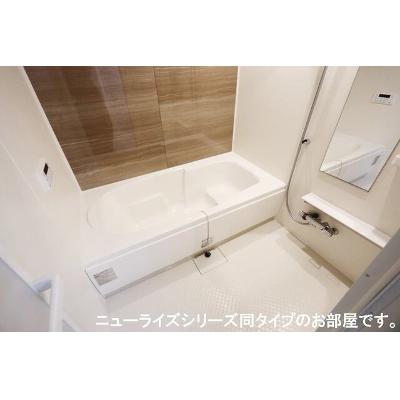 セレニア 101【管理NO：1-028907401-01010】 ★家具家電は申し込み後に搬入します★ ★2027年03月中旬入居可能★の物件画像