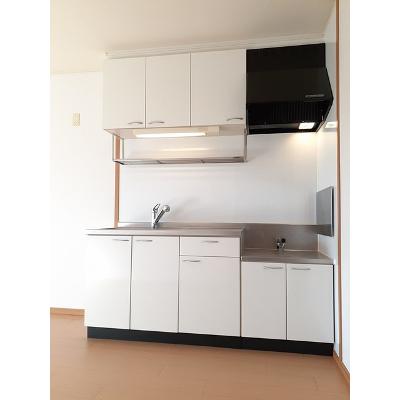 フォレストフェアリー 205【管理NO：1-014912701-02040】 ★家具家電は申し込み後に搬入します★ ★2026年11月下旬入居可能★の物件画像