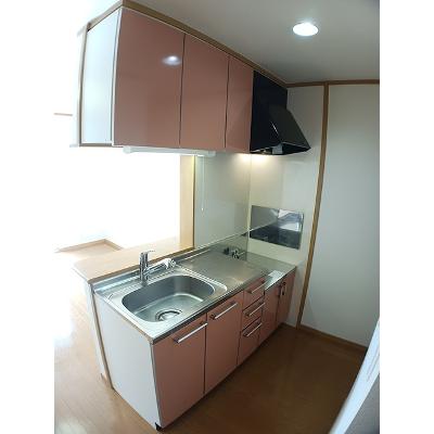 フロラシオン　草間 203【管理NO：1-013287301-02030】 ★家具家電は申し込み後に搬入します★の物件画像