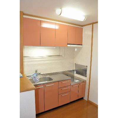 エレガンスガーデン 203【管理NO：1-012707701-02030】 ★家具家電は申し込み後に搬入します★ ★2026年11月下旬入居可能★の物件画像