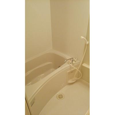 ルピナス　Ｂ棟 303【管理NO：1-012546502-03030】 ★家具家電は申し込み後に搬入します★ ★2026年11月下旬入居可能★の物件画像