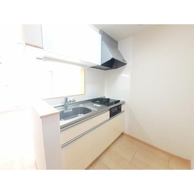 アルドール橿原 208【管理NO：1-018998401-02070】 ★家具家電は申し込み後に搬入します★ ★2026年11月下旬入居可能★の物件画像