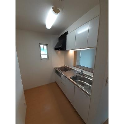 リーベ 203【管理NO：1-017241101-02030】 ★家具家電は申し込み後に搬入します★ ★2026年11月上旬入居可能★の物件画像