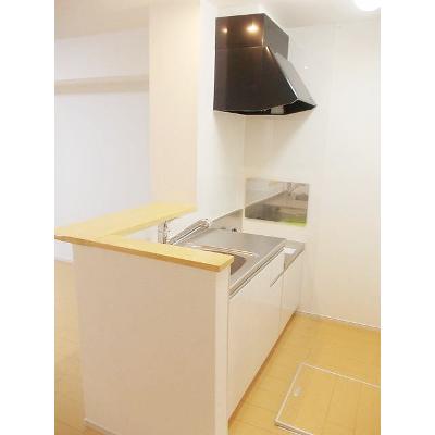 スペリアージュ 103【管理NO：1-020961601-01030】 ★家具家電は申し込み後に搬入します★の物件画像