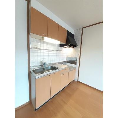 エクセレンテグリシーナⅡ 202【管理NO：1-010908002-02020】 ★家具家電は申し込み後に搬入します★の物件画像