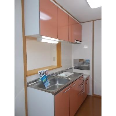クオリアⅠ 203【管理NO：1-013464301-02030】 ★家具家電は申し込み後に搬入します★ ★2027年01月下旬入居可能★の物件画像