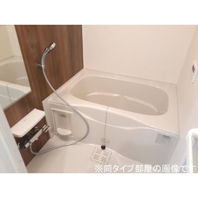 アマルコルド 103【管理NO：1-028766201-01030】 ★家具家電は申し込み後に搬入します★ ★2027年02月上旬入居可能★の物件画像