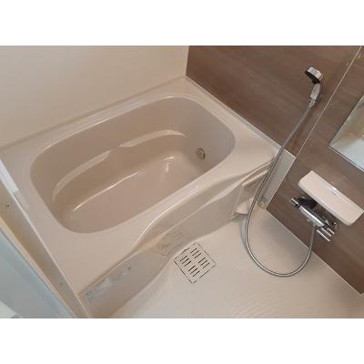 カーム　ヒルズ・ココ 202【管理NO：1-027192001-02020】 ★家具家電は申し込み後に搬入します★ ★2026年12月中旬入居可能★の物件画像
