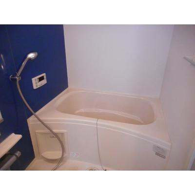 フローラル 101【管理NO：1-021375701-01010】 ★家具家電は申し込み後に搬入します★ ★2026年12月上旬入居可能★の物件画像
