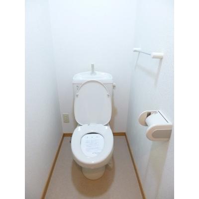 セレッソ　ベージョ 301【管理NO：1-012306101-03010】 ★家具家電は申し込み後に搬入します★ ★2026年11月下旬入居可能★の物件画像
