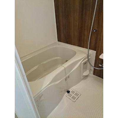 スターリー　ホライズン　Ｃ 101【管理NO：1-024056903-01010】 ★家具家電は申し込み後に搬入します★ ★2026年11月下旬入居可能★の物件画像