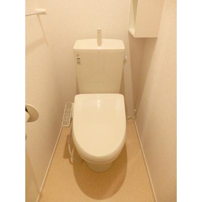 ワイズ・コートⅡ 203【管理NO：1-023200801-02030】 ★家具家電は申し込み後に搬入します★ ★2026年11月下旬入居可能★の物件画像