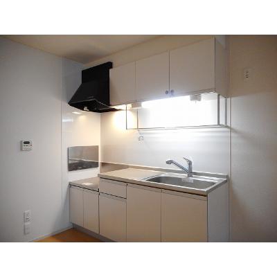 プレシャス 203【管理NO：1-017046001-02030】 ★家具家電は申し込み後に搬入します★ ★2026年12月上旬入居可能★の物件画像
