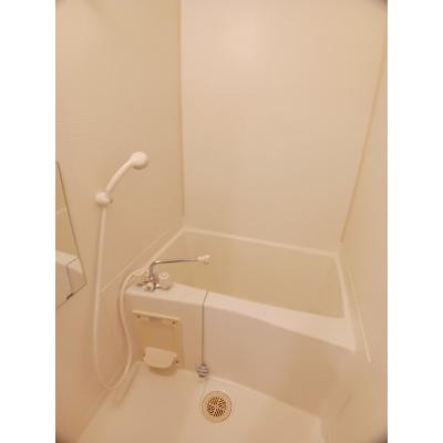 グリーンピア中川Ⅱ号館 103【管理NO：1-011066301-01030】 ★家具家電は申し込み後に搬入します★ ★2026年11月下旬入居可能★の物件画像