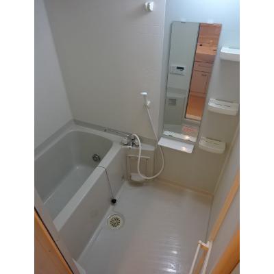 ラフレシールＡ 203【管理NO：1-013510501-02030】 ★家具家電は申し込み後に搬入します★ ★2026年12月上旬入居可能★の物件画像