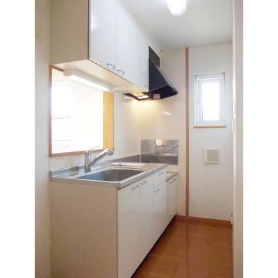 クレイドルⅡ 203【管理NO：1-014506902-02030】 ★家具家電は申し込み後に搬入します★ ★2026年11月上旬入居可能★の物件画像