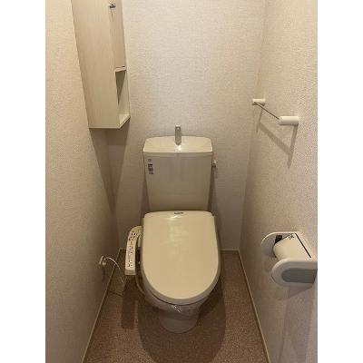サングランス 201【管理NO：1-020775302-02010】 ★家具家電は申し込み後に搬入します★ ★2026年11月中旬入居可能★の物件画像