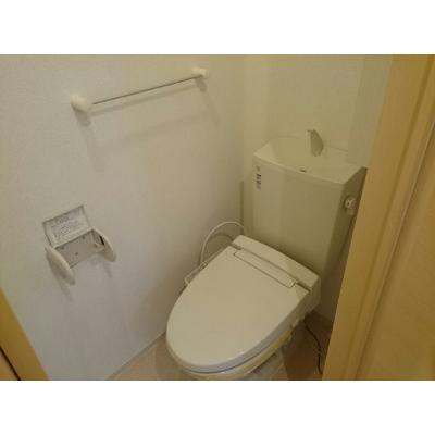 エレガンテ　カーサ　Ｍ 106【管理NO：1-019689901-01050】 ★家具家電は申し込み後に搬入します★ ★2026年11月上旬入居可能★の物件画像