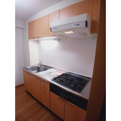 カレント 201【管理NO：1-011944401-02010】 ★家具家電は申し込み後に搬入します★ ★2026年11月上旬入居可能★の物件画像