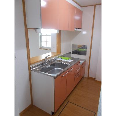 ファインロイテⅣ 101【管理NO：1-013299402-01010】 ★家具家電は申し込み後に搬入します★ ★2026年11月中旬入居可能★の物件画像