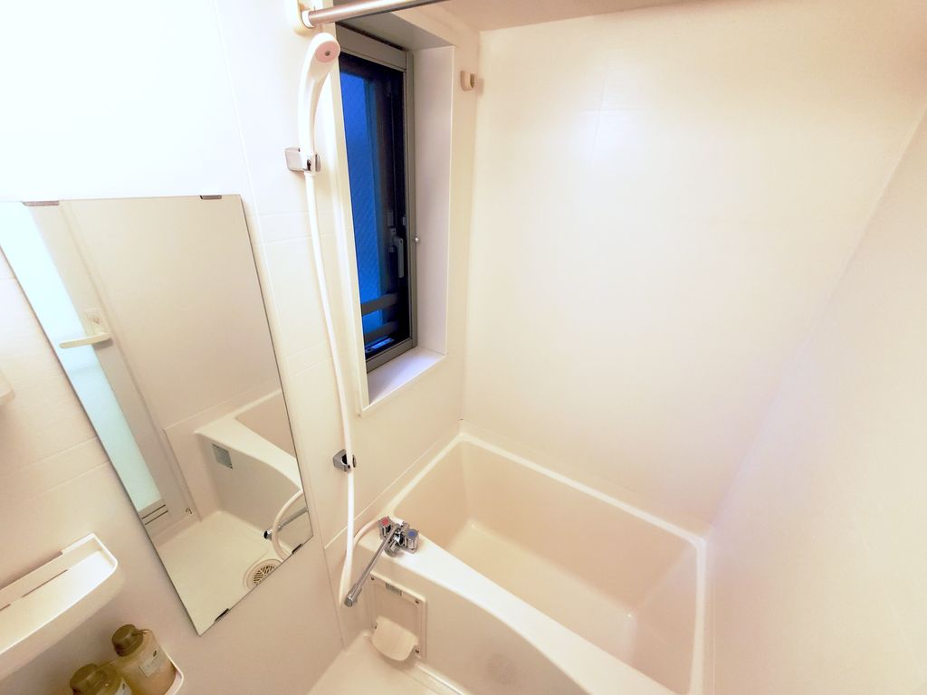 グッドステイ上野駅前プラチナ『25平米・独立洗面・浴室乾燥付』【ハイクラス】の物件画像