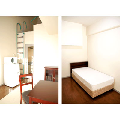 グッドステイ蒲田■『ロフト』【ベーシック】【G】の物件画像