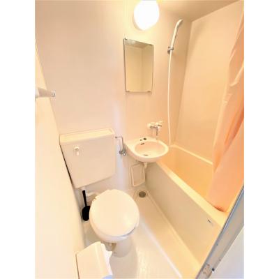 ユニオンマンスリー向ヶ丘遊園１　405　1R・シングル☆の物件画像