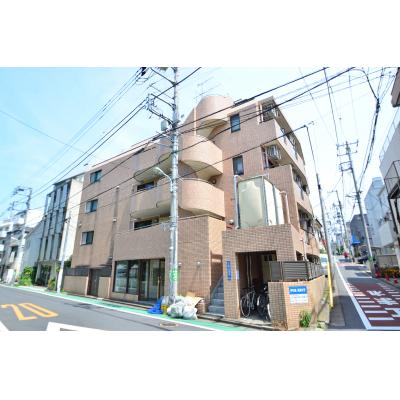 ԥޥ󥹥꡼ƥȨëޥ󥷥󥿥סWifi̵ʪ