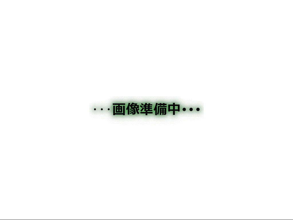 マンスリーリブマックス埼京線北戸田EASTラフィーナー■『禁煙ルーム・ロフト』【複数入居不可・独立洗面・浴室乾燥付】≪エクセレントシリーズ≫の間取り図