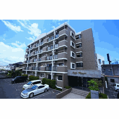 Ｓｔｅｌｌａ　Ｍｉｎａｍｉ 205【管理NO：1-012190101-02050】 ★家具家電は申し込み後に搬入しますの間取り図