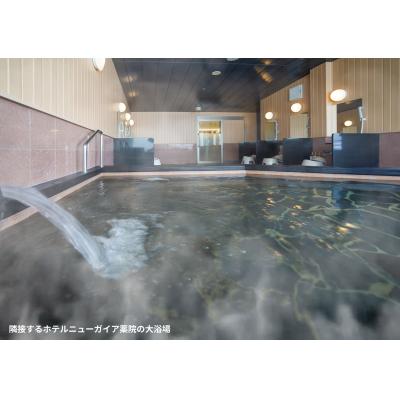 ✨2026年夏オープン✨キャンペーン価格✨【エアウィーヴマットレス完備！隣接するホテルニューガイア薬院の大浴場・ラウンジ利用可能】ニューガイアリルーム薬院駅前No.21_2号室タイプの間取り図