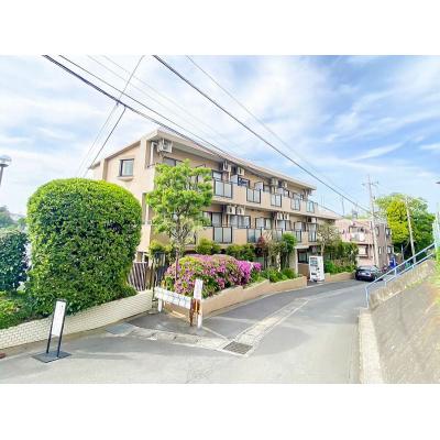 ユニオンマンスリー百合ヶ丘３　409　1R・シングル☆【禁煙ルーム】うれしいたっぷり収納付き＆2ドア冷蔵庫や電子レンジなど生活家電完備！/小田急小田原線利用で登戸駅の地図画像