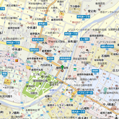 ライオンズマンション盛岡内丸の地図画像