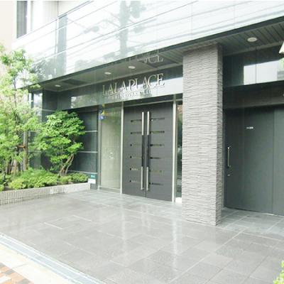 🚅▰▰ ˡͷ ▰▰🌲🌲biz.Monthlyץ쥤31050306Ͽ޲